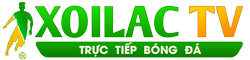 tả về con chó